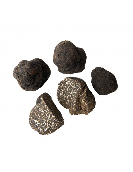 Venta online de trufa de Teruel a trozos - Trufas Pinazo