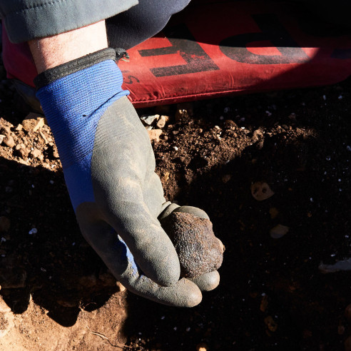 Venta online de Trufa de primera de Teruel- Trufas Pinazo