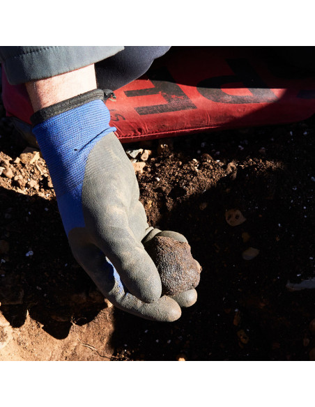 Venta online de Trufa de primera de Teruel- Trufas Pinazo