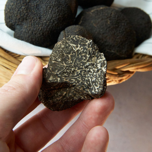 Venta online de trufa de Teruel a trozos - Trufas Pinazo