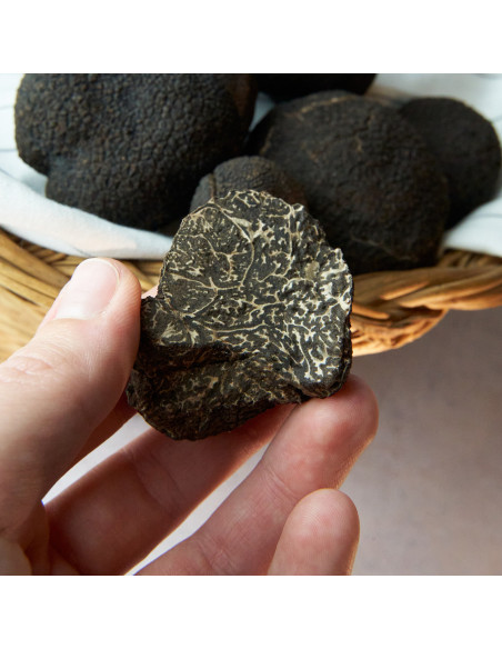 Venta online de trufa de Teruel a trozos - Trufas Pinazo