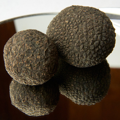 Trufa negra extra de Teruel de primera calidad - Trufas Pinazo