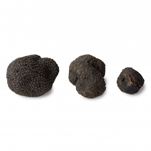 Venta online de Trufa de primera de Teruel- Trufas Pinazo