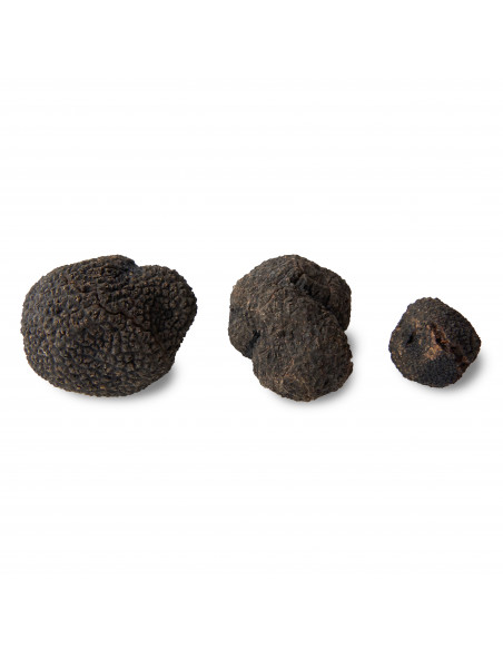Venta online de Trufa de primera de Teruel- Trufas Pinazo