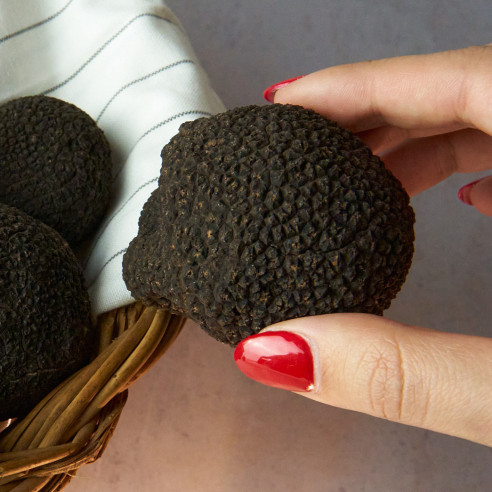 Venta online de Trufa de primera de Teruel- Trufas Pinazo