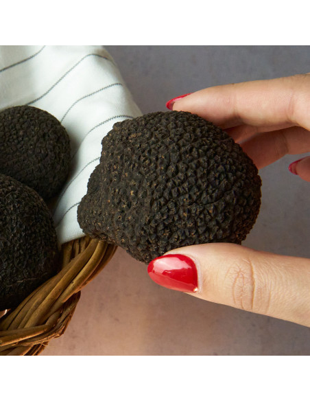 Venta online de Trufa de primera de Teruel- Trufas Pinazo