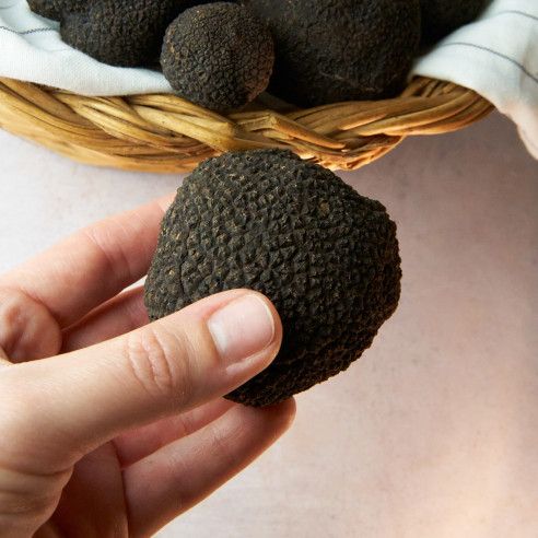 Trufa negra extra de Teruel de primera calidad - Trufas Pinazo